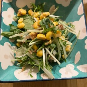 ツナと水菜のヘルシーサラダ